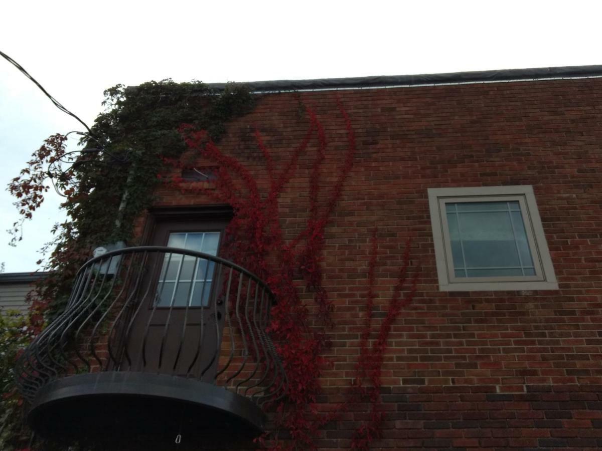 The Vintage Inn Bed And Breakfast Redwood Falls Exterior foto